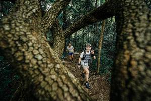 BIB: 
                            <button type="button" onclick="openModal(25670485)" class="btn btn-primary btn-sm float-right btn-popup" data-toggle="modal" data-target=".modal-high-quality">
                        <i class="fas fa-shopping-cart"></i> Add to Cart
                    </button>
                                            <button type="button" onclick="isThisMe(25670485, true)" class="btn btn-success btn-sm float-right btn-popup btn-isme hidden" data-toggle="tooltip" data-placement="bottom" title="นี่คือรูปของคุณใช่ไหม คลิกที่นี่เพื่อเอาเข้าอัลบั้ม">
                        <i class="fas fa-plus"></i> Add to album
                    </button>
                    <button type="button" onclick="isThisMe(25670485, false)" class="btn btn-warning btn-sm float-right btn-popup btn-isnotme hidden">
                        <i class="fas fa-ban"></i> Remove from album
                    </button>